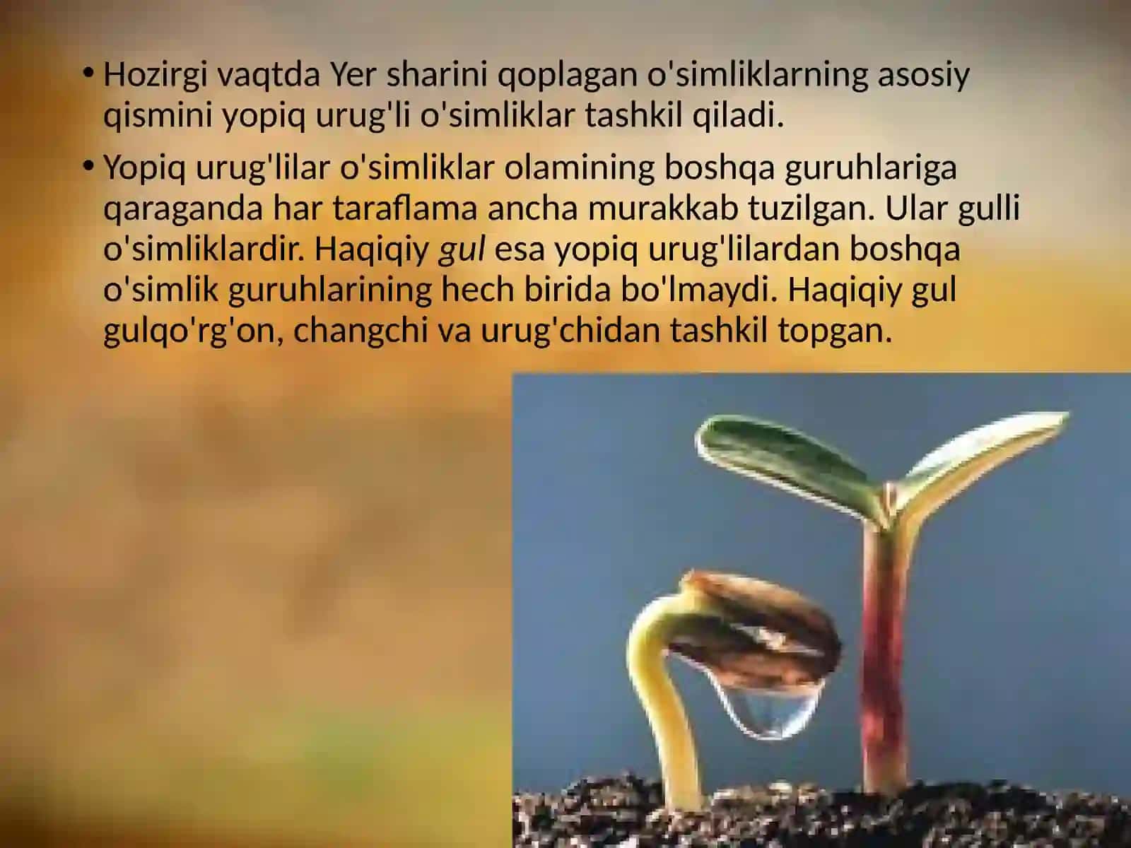 6-sinf Botanika Yopiq urug'li o'simliklar haqida ma'lumotlar 3