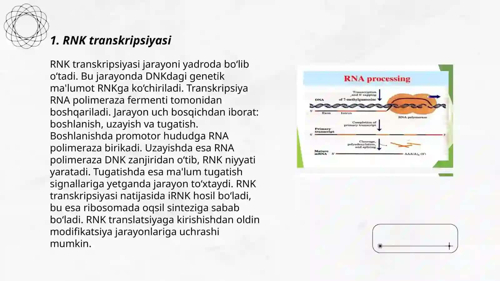 Infarmatsion RNK ning protsessing jarayoni 3