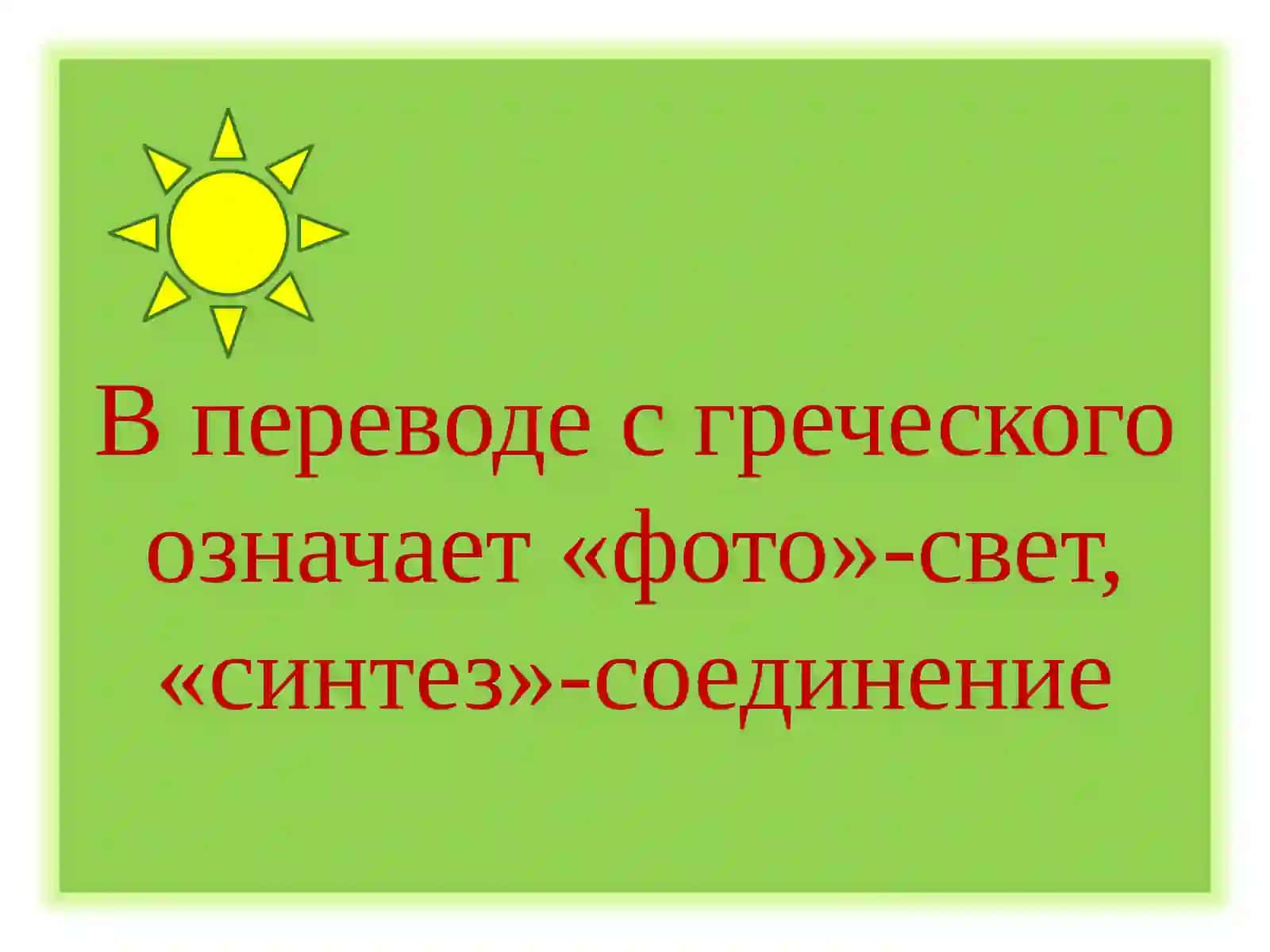Фотосинтез 3