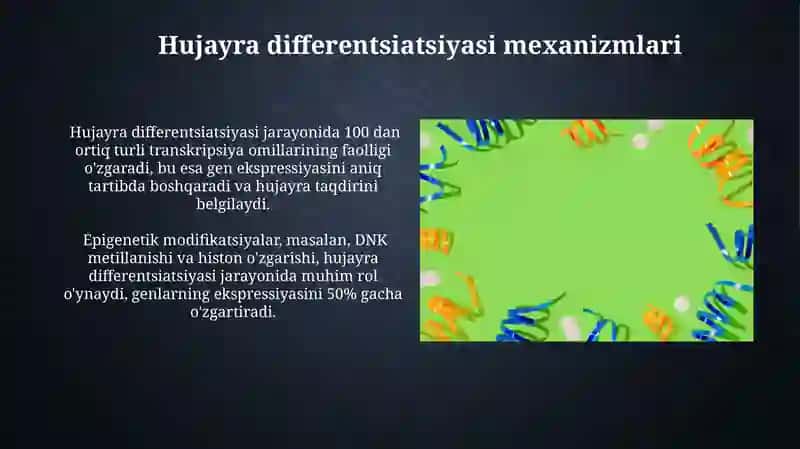 Oqsil biosintezi ingibitorlari 3