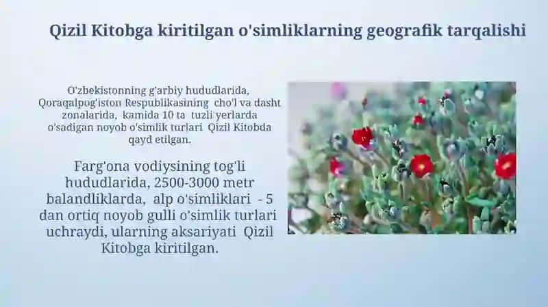 Qizil Kitobga kiritilgan o'simliklar 3