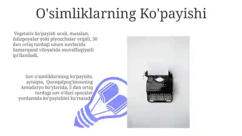 O’simliklarning hayotiy shakllarini o’rganish 3