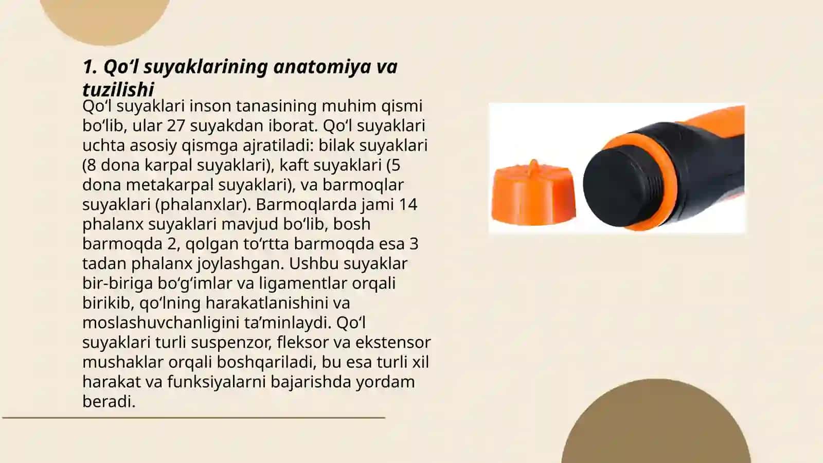 Qo‘l suyaklarining variantli analonnyasi 3