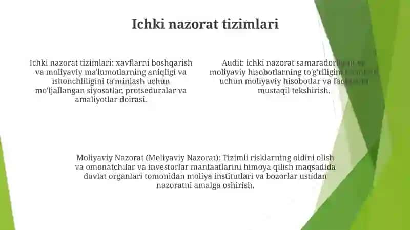 Audit Va Moliyaviy Nazorat 3