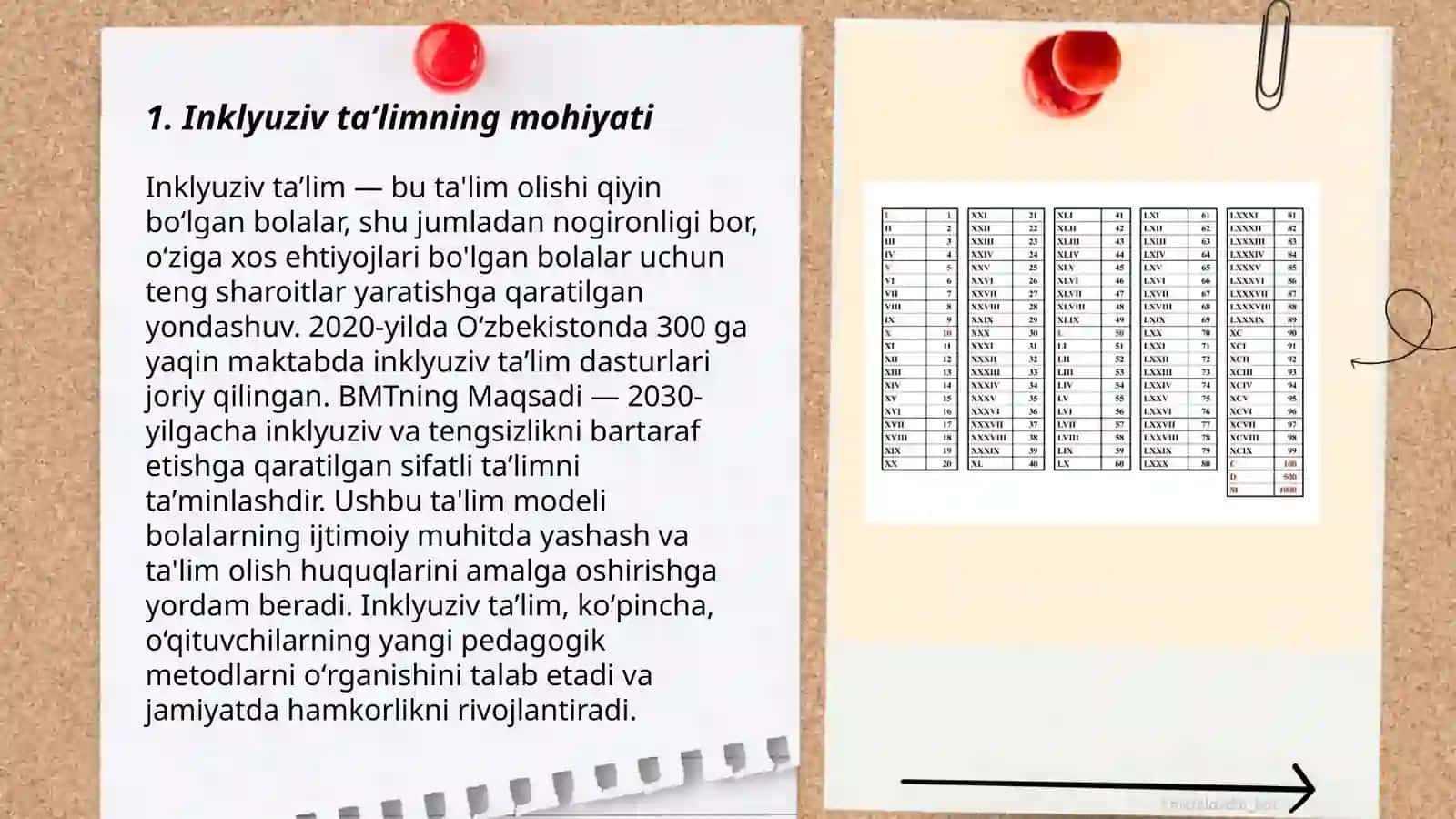 Inklyuziv taʼlimga bo'lgan ehtiyot va uning sabablari 3