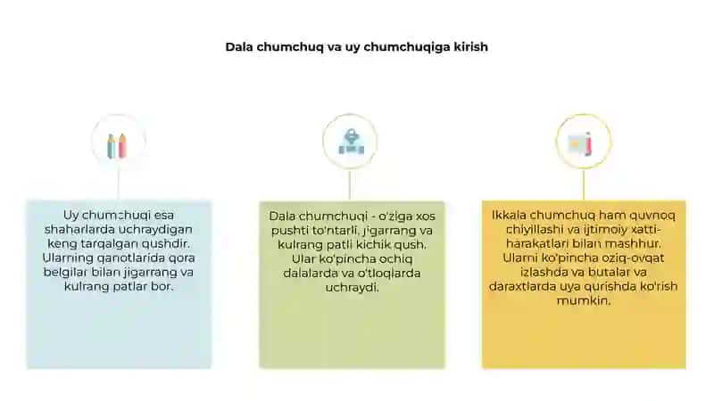 Dala chumchuq va uy chumchugi 3