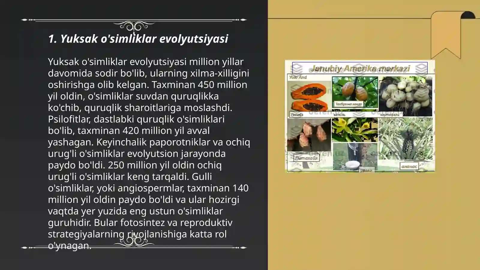 Yuksak o’simliklarning taksonomik tarixi 3