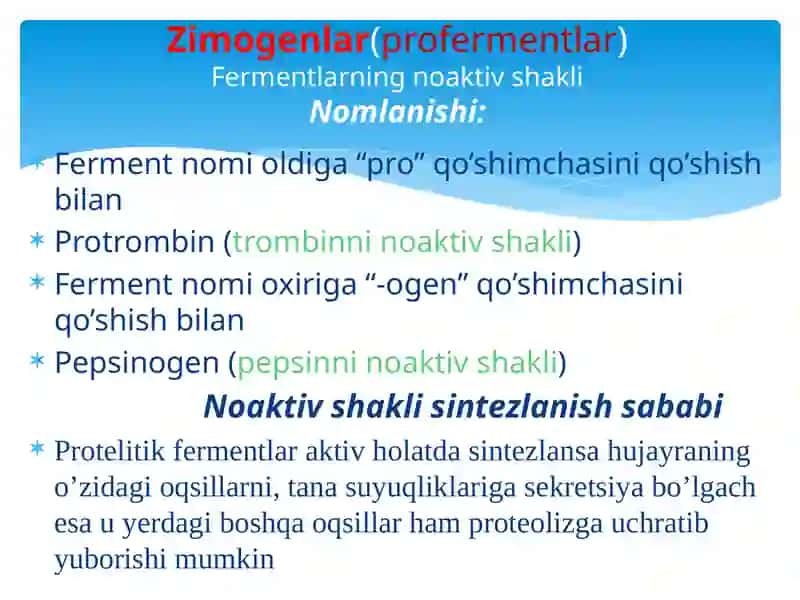 Fermentlarning tuzilishi va xususiyatlari 3