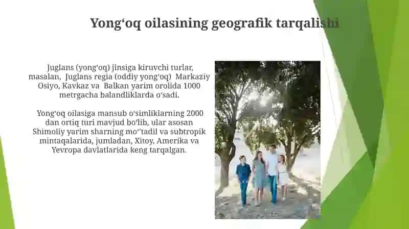 Yongʻoqdoshlar oilasi 3