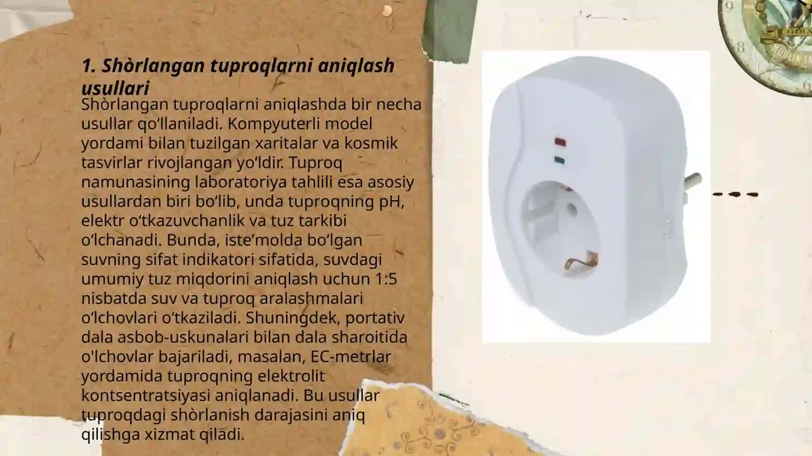 Shòrlangan tuproqlar 3
