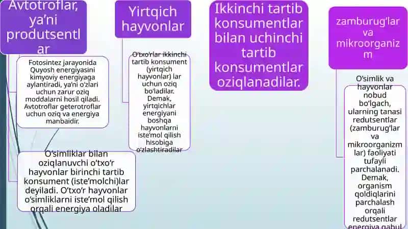 EKOSISTEMALARDA ENERGIYA OQIMI 3