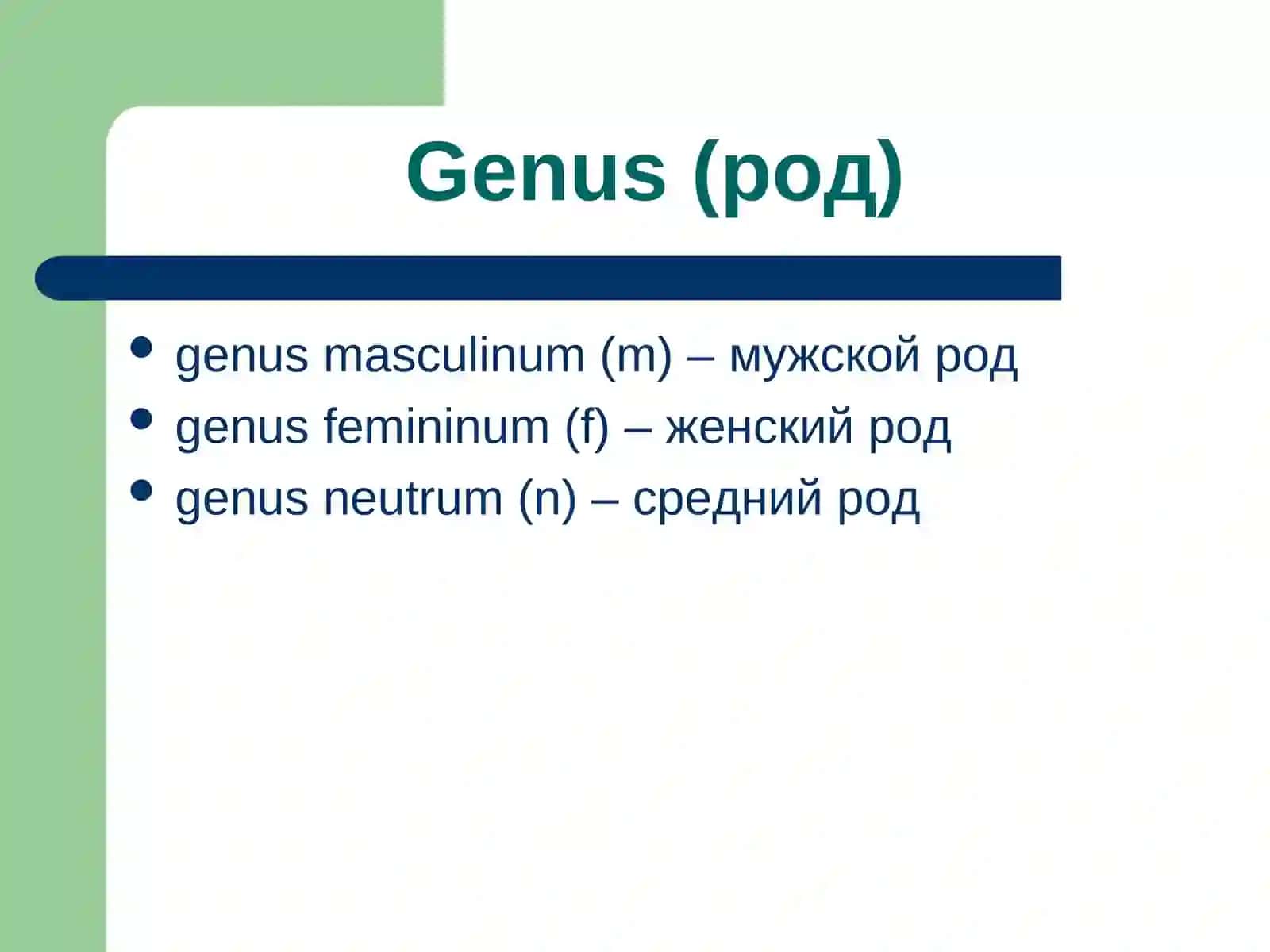 ИМЯ СУЩЕСТВИТЕЛЬНОЕ 3