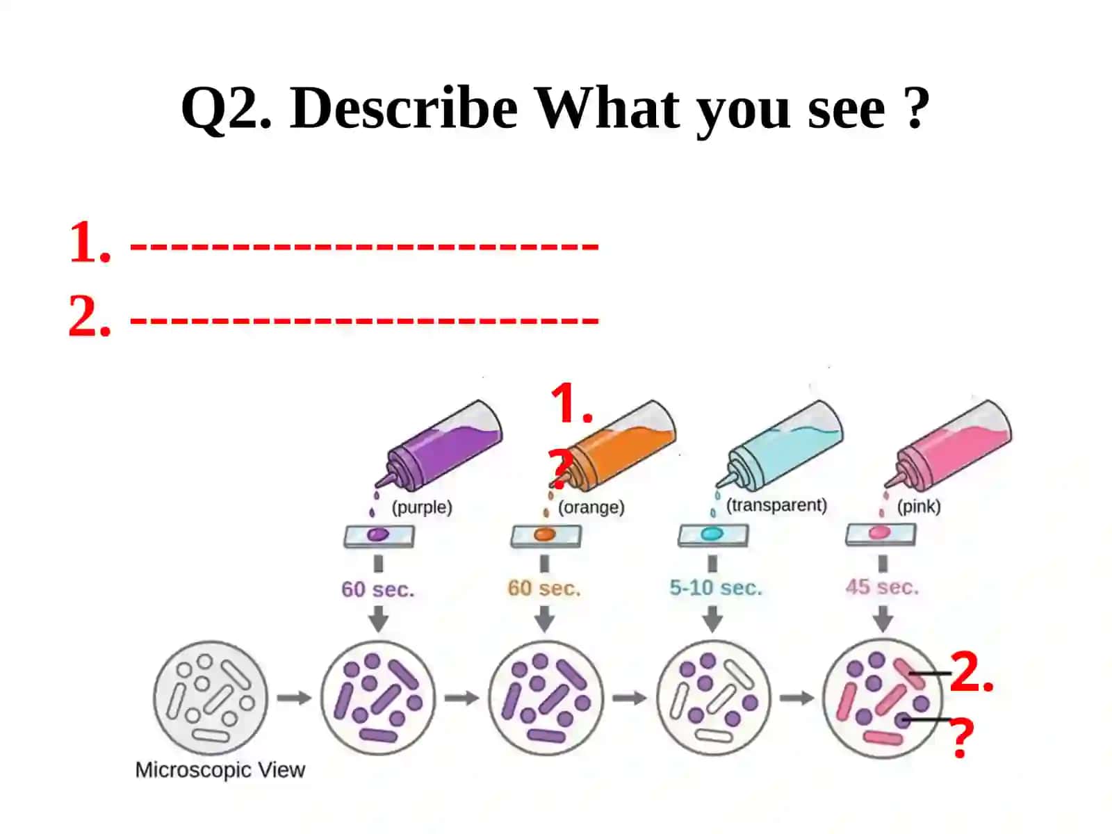 Medical Biology 3