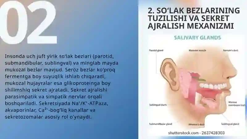 So‘lak biokimyosi 3