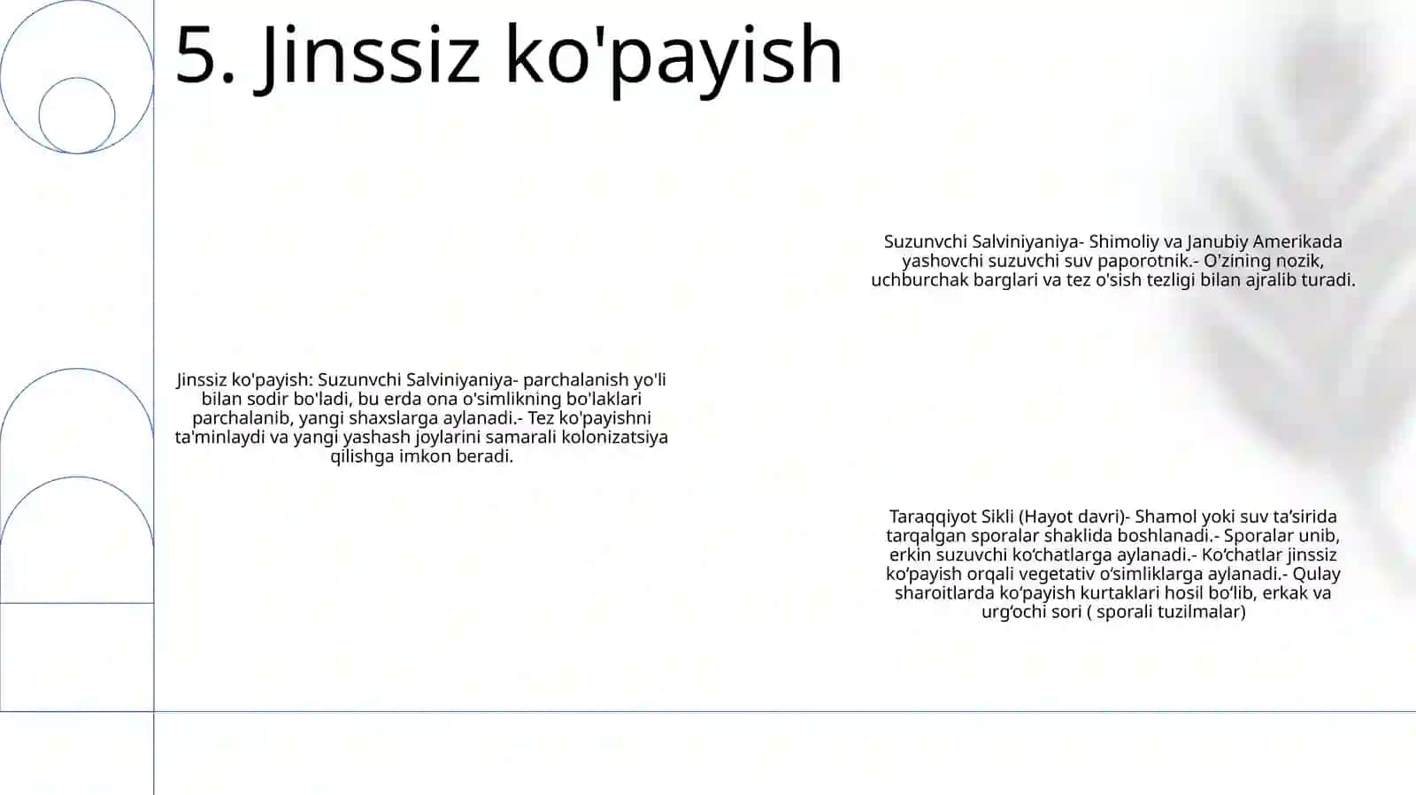 Morfologik xususiyatlari 3