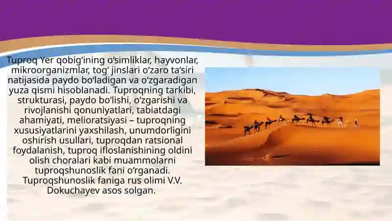 Tuproq va topografik omillar 3