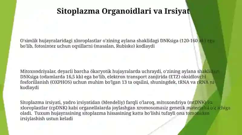 Sitoplazmatik irsiylanishning molekular asoslari 3
