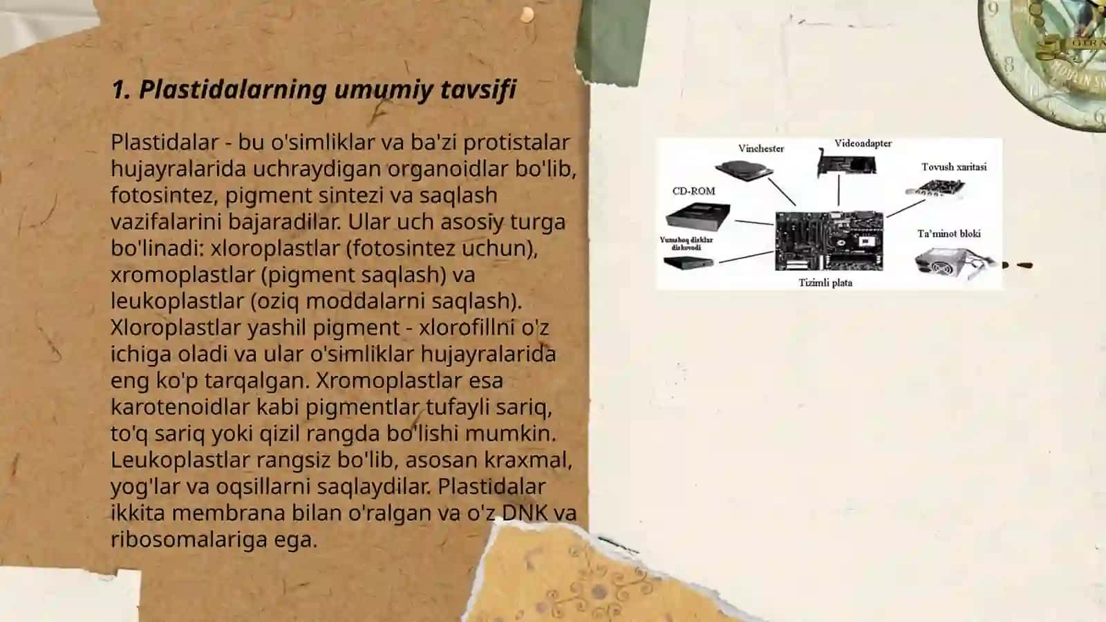 Plastidalar va ularning tiplari, tuzilishi 3