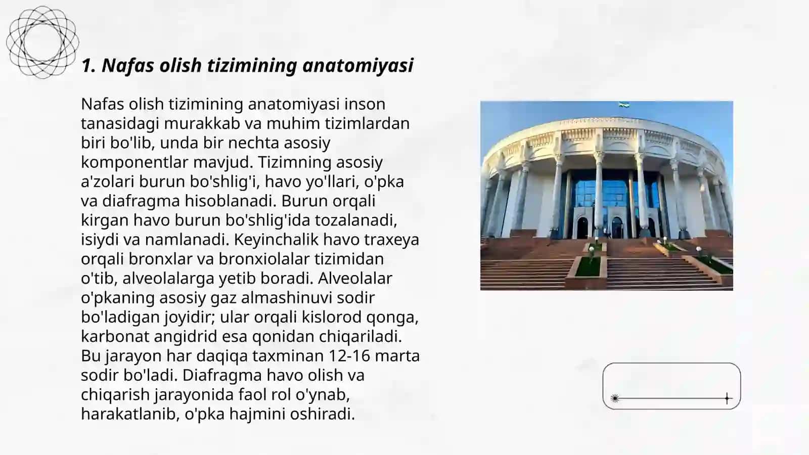 Nafas olish sistemasi 3
