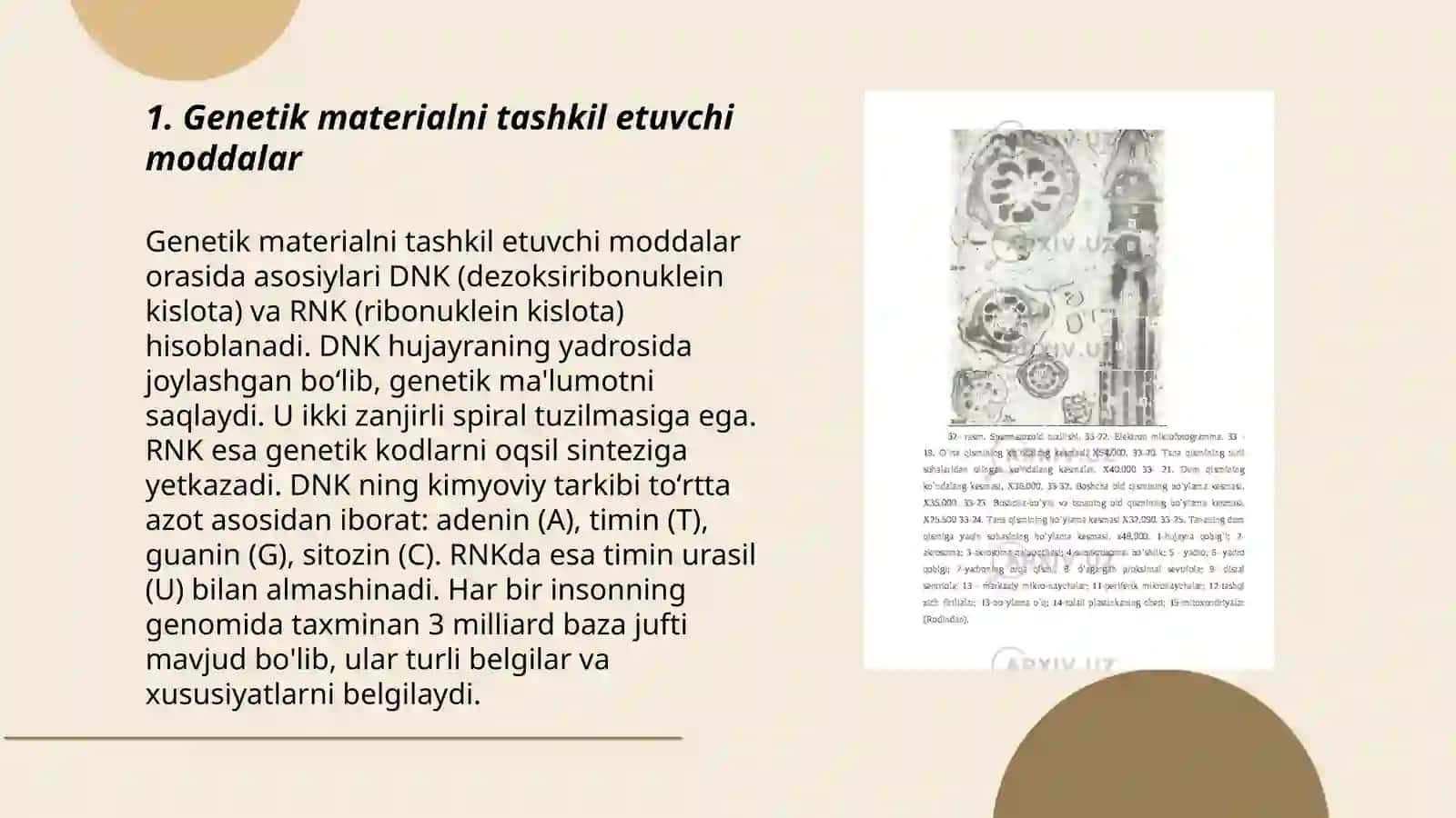 Umumiy genetika asoslari 3