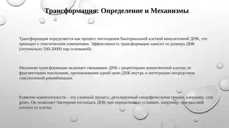 Трансформация и Трансдукция 3