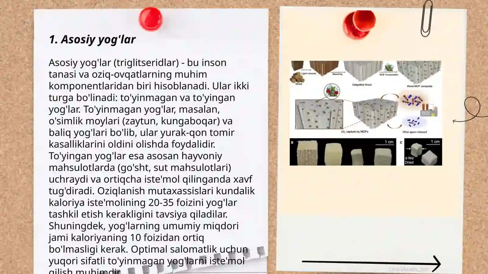 Yog’larni tuzulishi 3