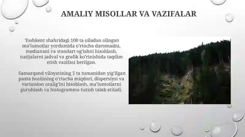 Statistik jamlash va guruhlash 3