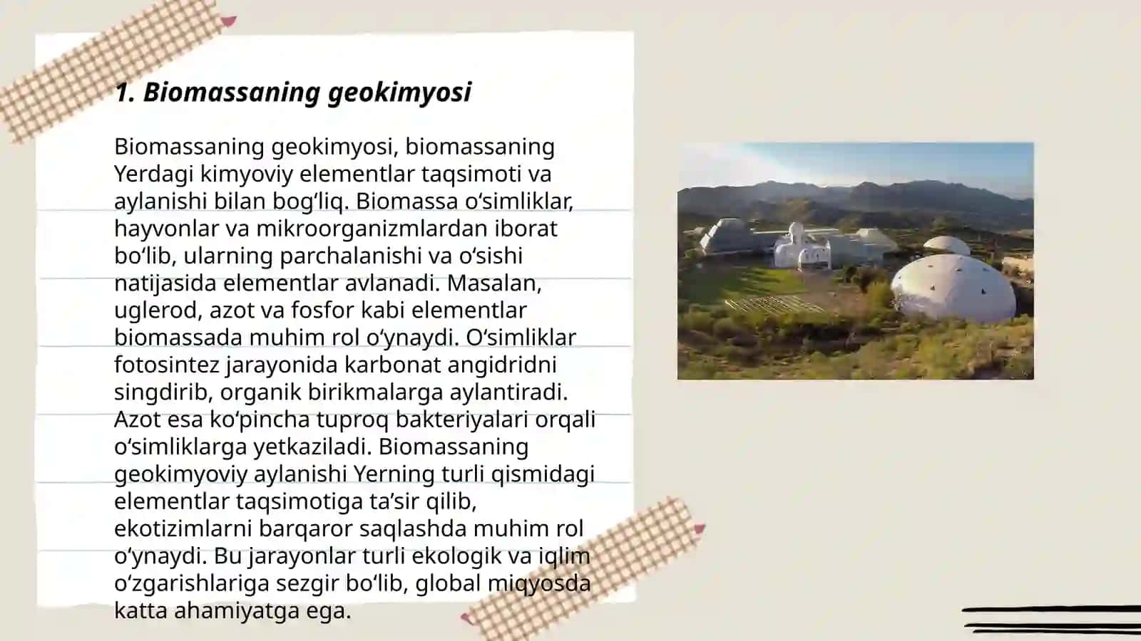Biomassaning geokimyosi 3