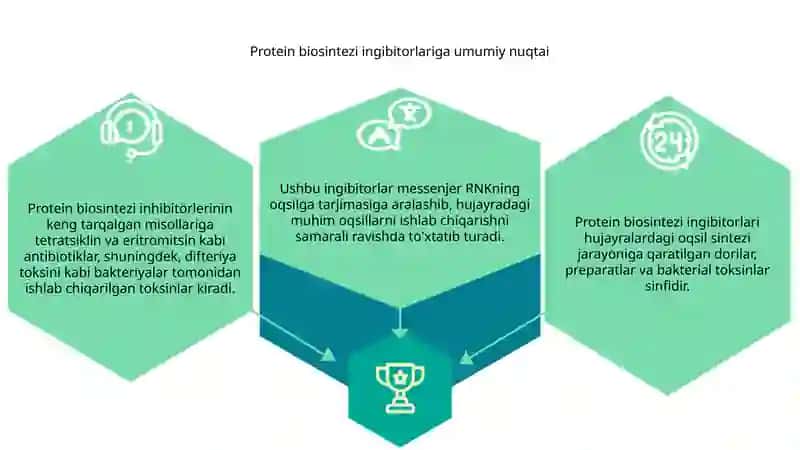 Oqsil biosintezi ingibitorlari 3
