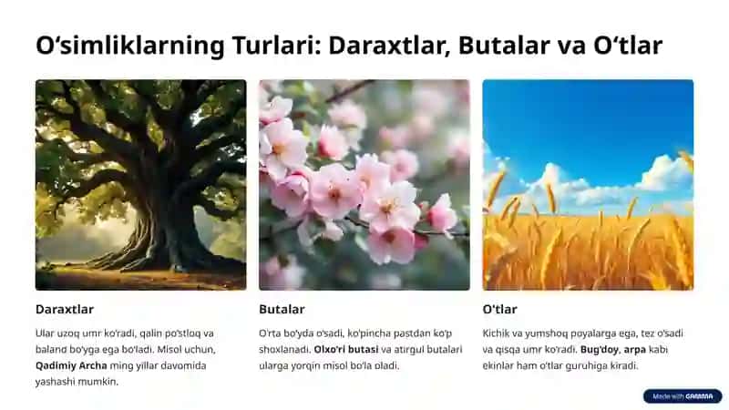 O‘simliklar Dunyosi va Ularning Hayot Tarzi 3