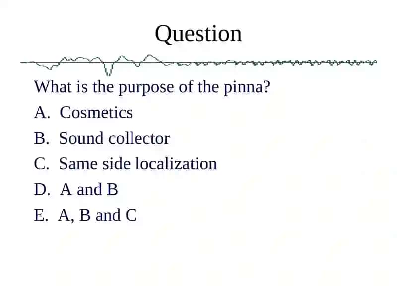 Anatomy Physiology and Disorders of the Hearing 3