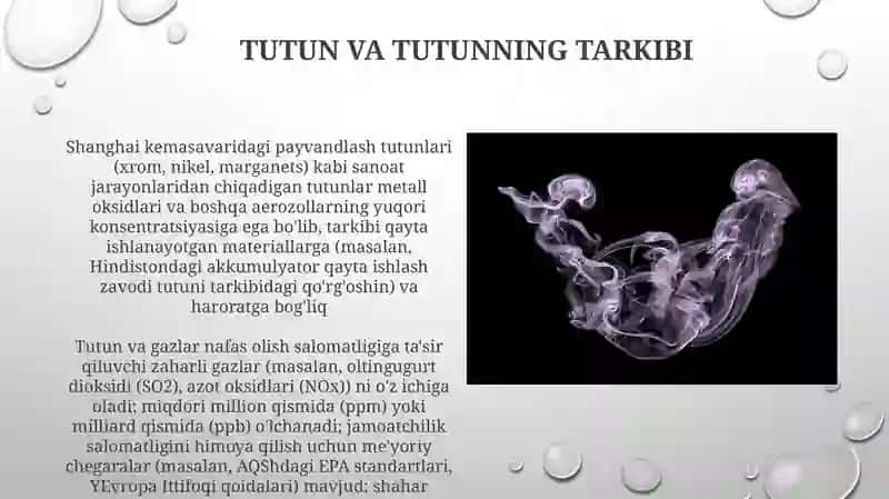 O'rmon va tutunli gazlar 3