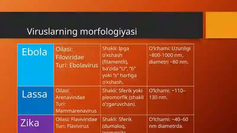 Ebola, Lassa, Zikaviruslariningmorfologiyasi 3