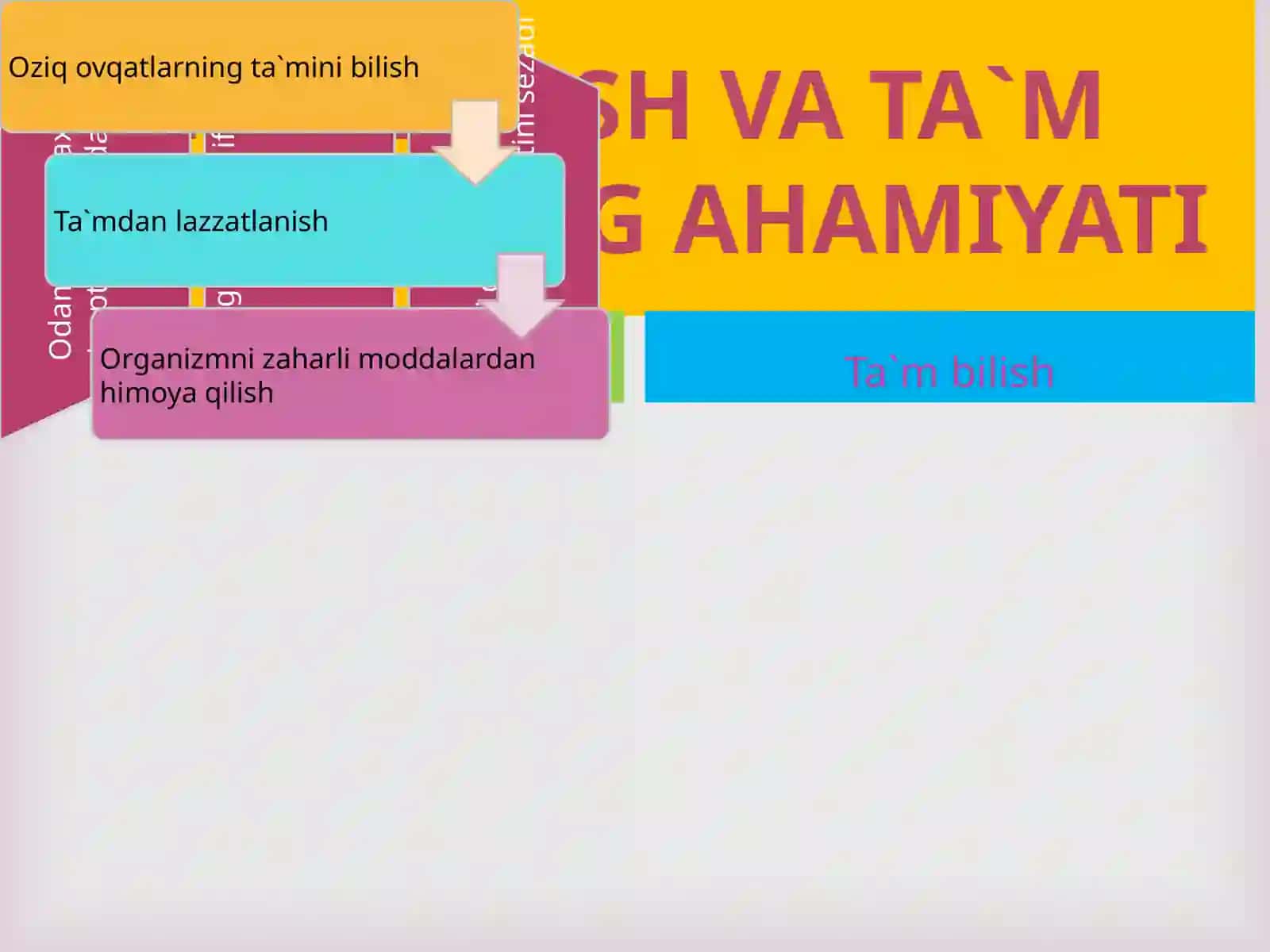 HID BILISH VA TA`M BILISH ORGANLARI 3