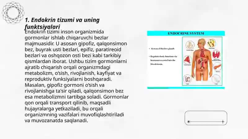 Endokrin bezlar va endokrin aʼzolar haqida tushuncha 3