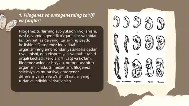 Filogenez va ontogenez 3