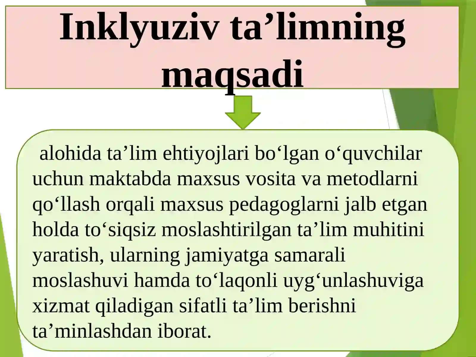 Inklyuziv ta’lim 3