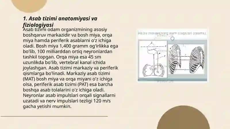 Asab tizimi yuqumli kasalliklari 3