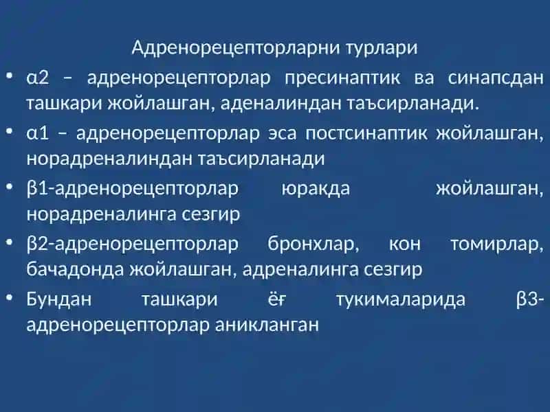 Адренергиктизимгатаъсирэтувчидоривоситалари 3