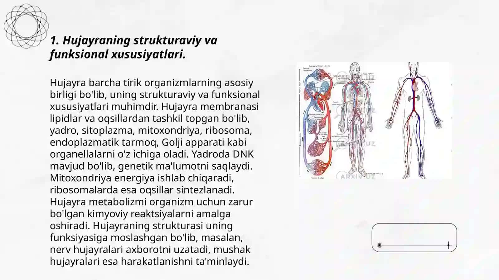 Hujayraning strukturaviy va funksional xususiyatlari 3