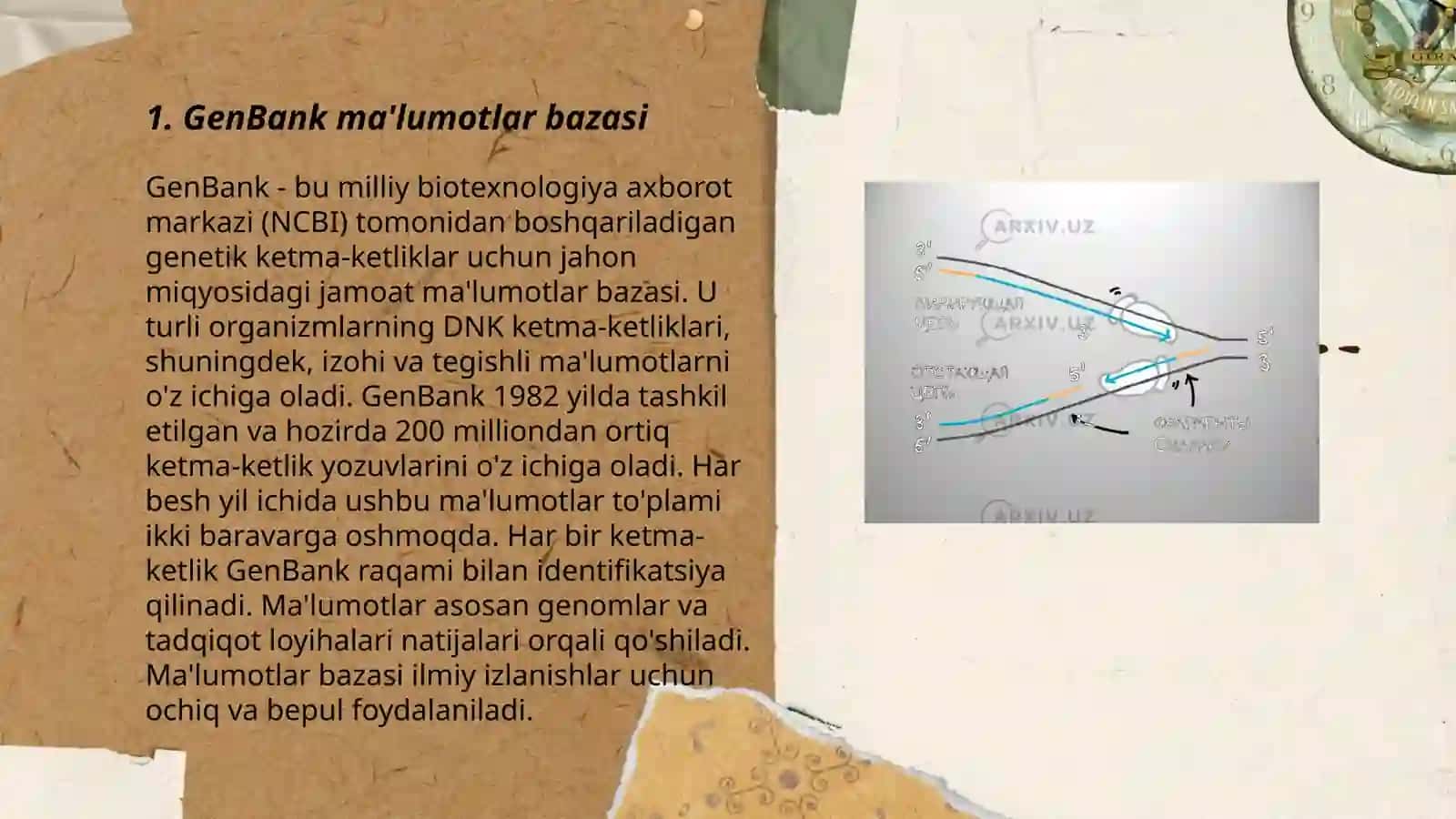 GenBank ma'lumotlar bazasi 3