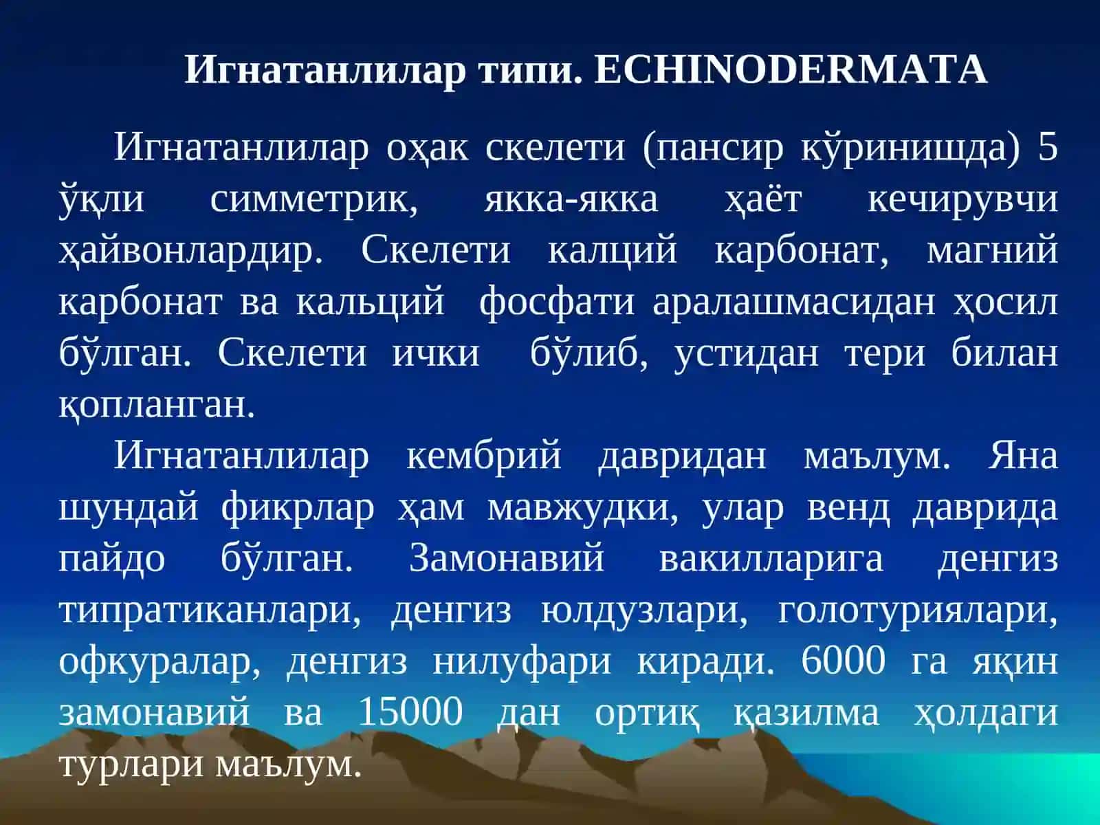 Echinodermata 3