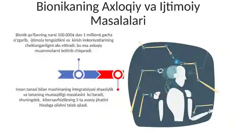 Bionika asoslari 3