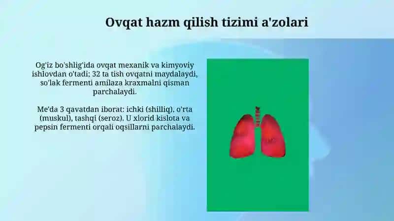 Hazm tizimining a'zolari 3