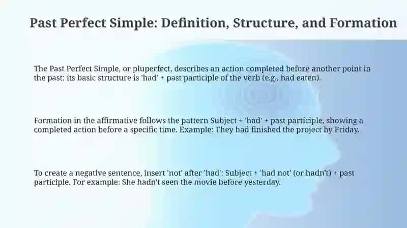 Past Perfect Simple 3