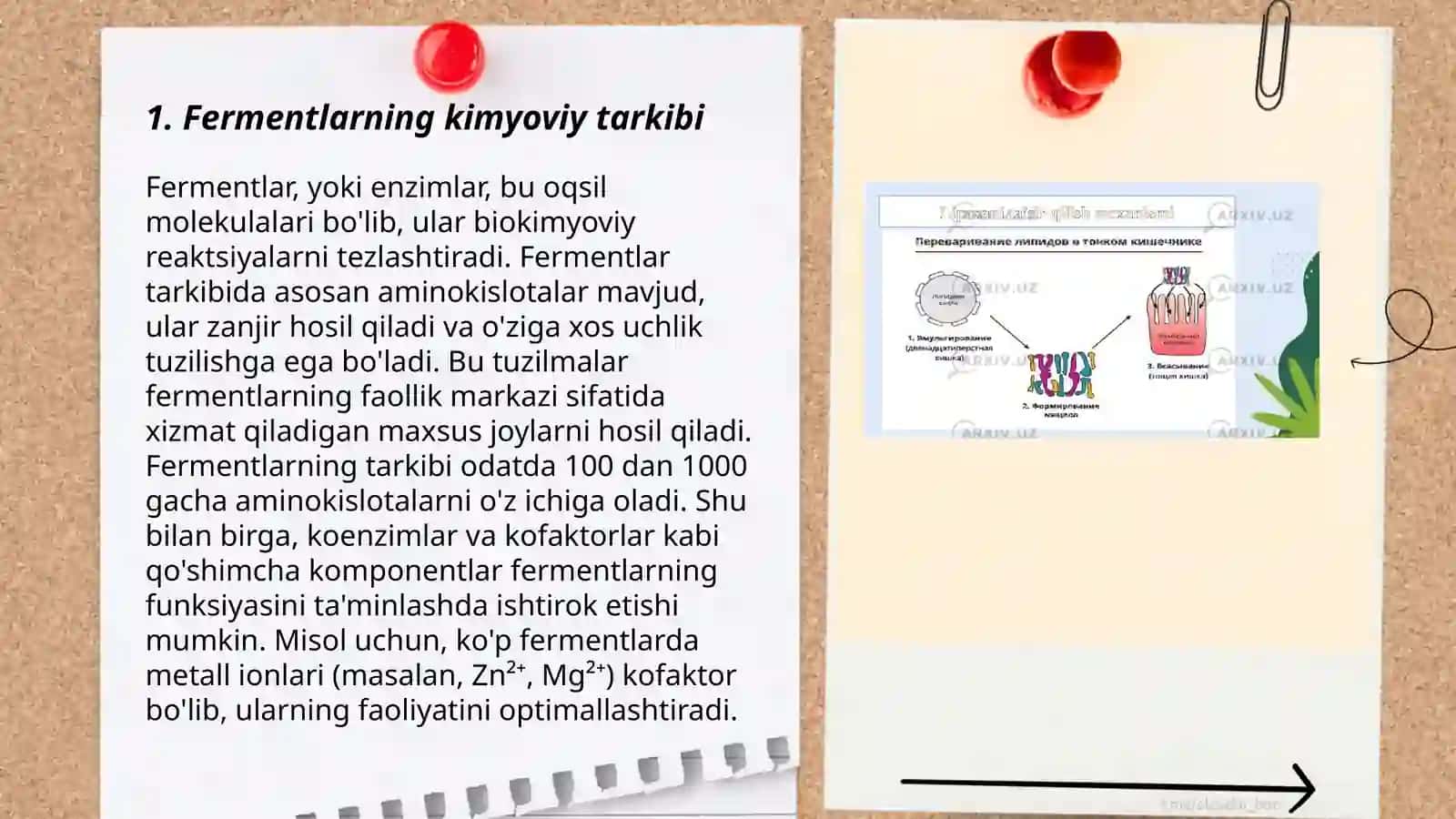 Fermentlar ishtirokidagi texnologik jarayonlar 3