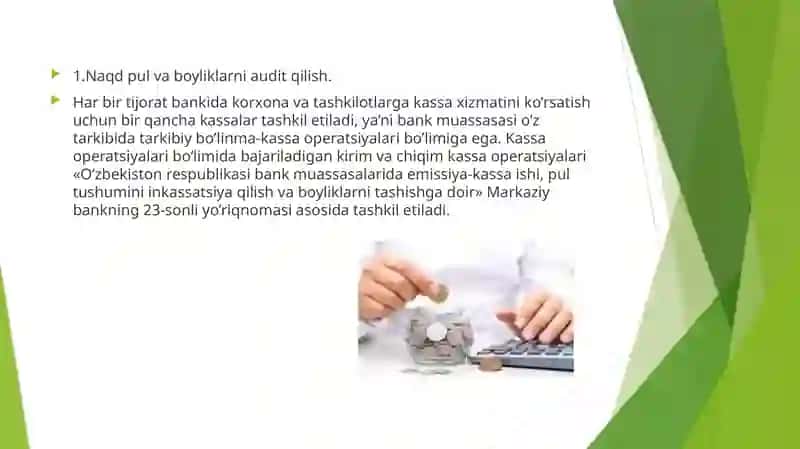 Naqdpul va kassa operatsiyalari auditi 3