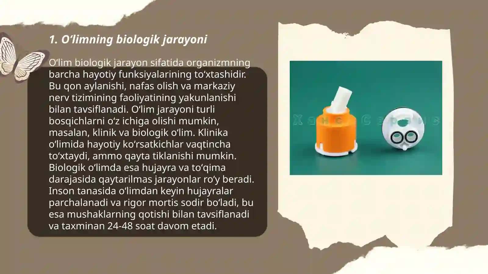Oʻlim va oʻlish jarayoni 3