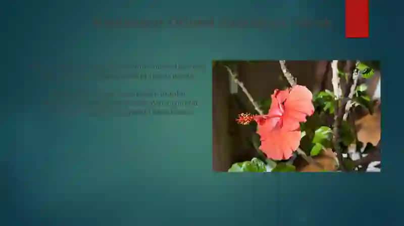 Valent bogʻlar nazariyasi 3