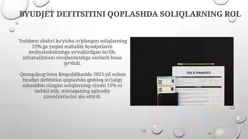 Davlat byudjeti soliqlarining ahamiyati 3
